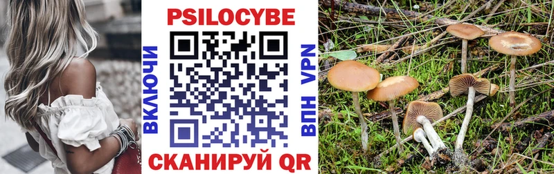 Псилоцибиновые грибы GOLDEN TEACHER  Лесосибирск 